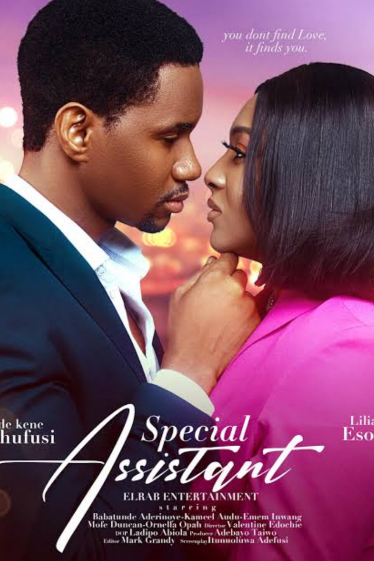 Special Assistant Movie Download